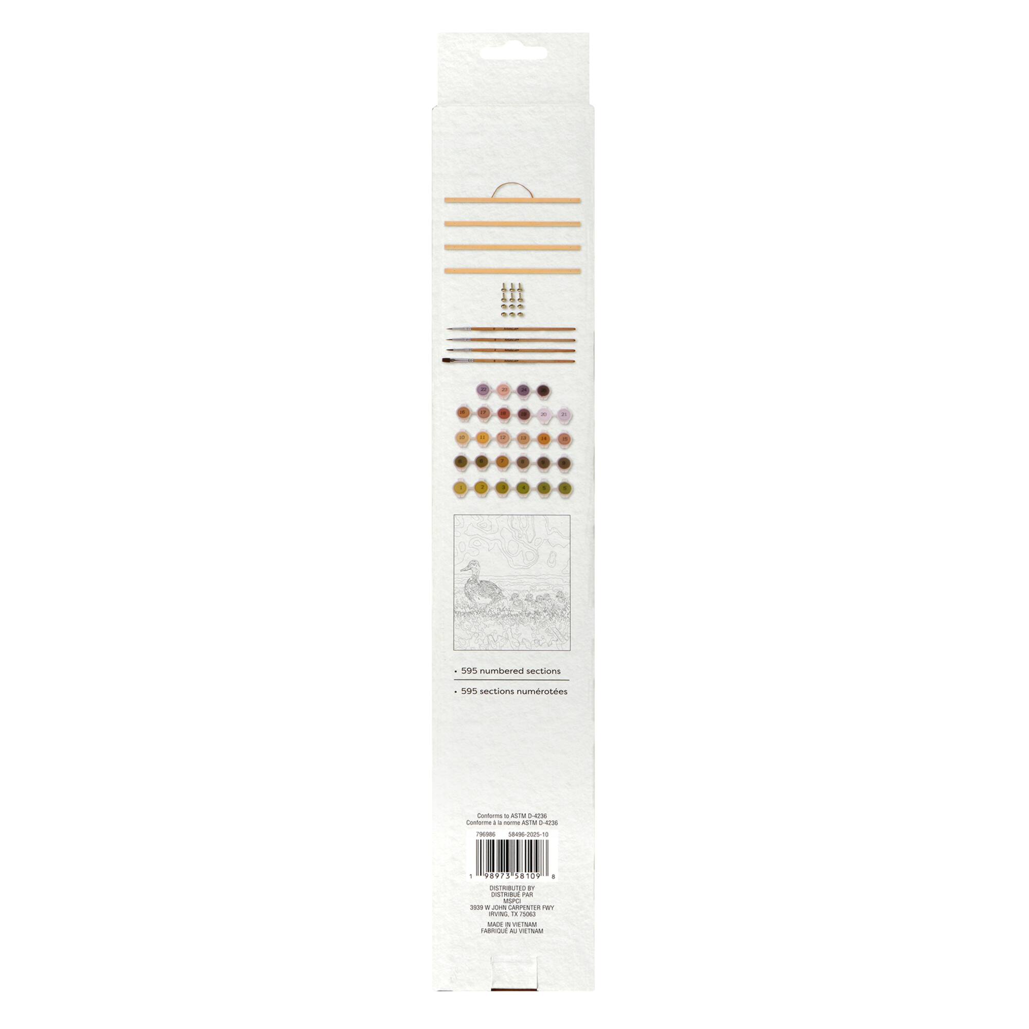 16" x 20" Duck Parade Paint-by-Number Kit by Artist's Loft®